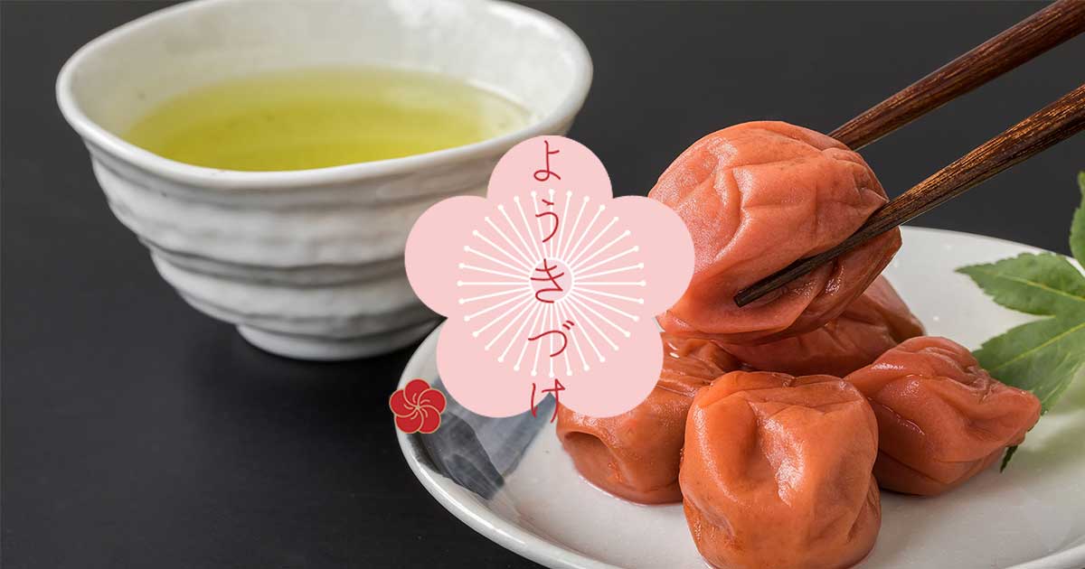 0800⭐️梅干し用　紀州の南高梅Lサイズ10kg 完熟優品　キルトパッチ梅店 送料無料】＜梅干し用＞紀州産南高梅 約10kg